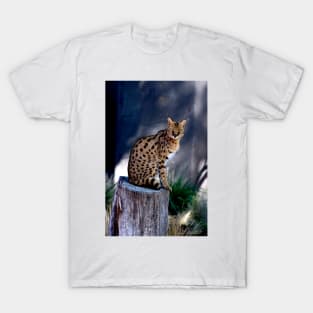 Serval Posing T-Shirt